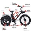 Electric Assist Tricycle for Cross-border E-commerce Delivery