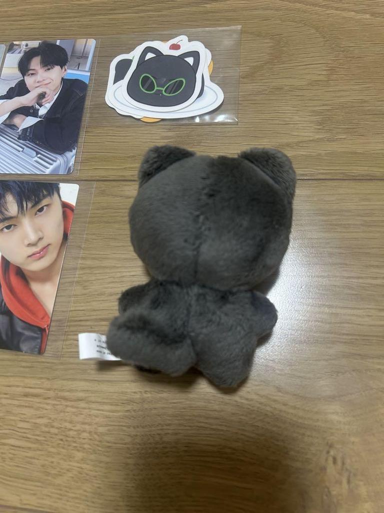 [USED] Enhypen plush toy Jay trading card