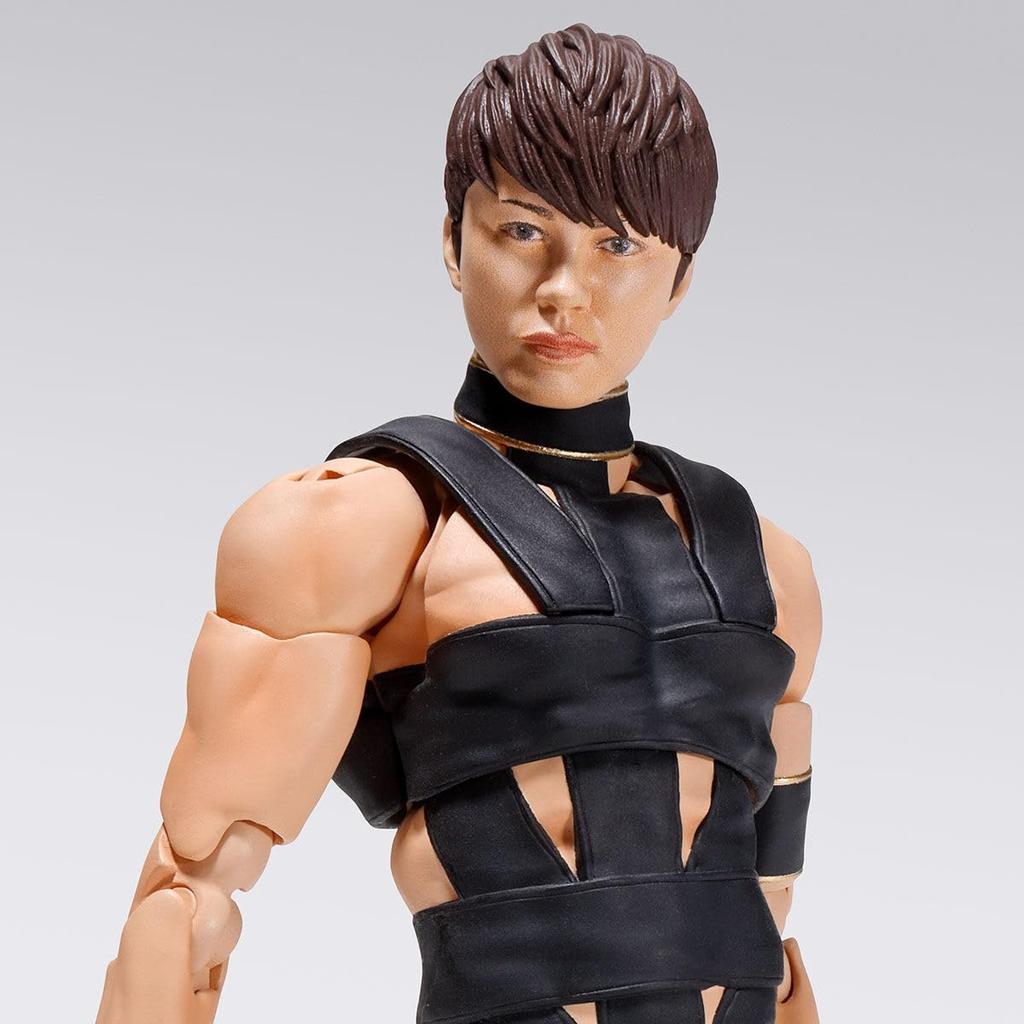 Bandai Takanori Nishikawa S.H.Figuarts T.M.Revolution