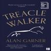 Treacle Walker by Alan Garner Paperback Book 9780008477806