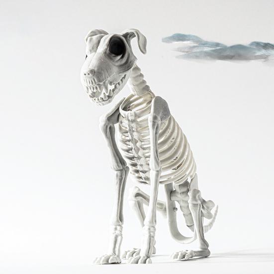 Halloween Skeleton Animal Decoration Creepy Cat/Dog/Bird/Rat/Goat Head Plastic Bones for Courtyard Graveyard Halloween Decor