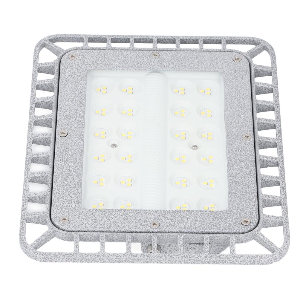 Światło LED przeciwwybuchowe 50W IP66 Wodoodporne Kolor marmurkowy Szkło hartowane Wzmacniane Fabryka Magazyn