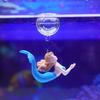 2Pcs Aquarium Suspension Mermaid Figurine Ornament Beautiful Mermaid Fish Tank Desk Decoration Crafts For Aquarium Landscaping