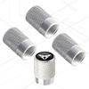 4 Stück/Set Für Ibiza Leon ATECA Tavascan Arona Born Ateca Tarraco Terramar LOGO Abzeichen Auto Rad Reifen Ventilkappen Reifenventilschäfte