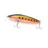 10cm 17g Hard ABS Floating Minnow Lure Freshwater Saltwater Bait for Carp Trout Bass Ocean River Lake Stream Tackle