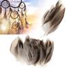 Confezione da 50 Piume di Anatra Selvatica 4-12 cm Piume Naturali per Costumi Cosplay Matrimoni Feste Decorazioni di Halloween