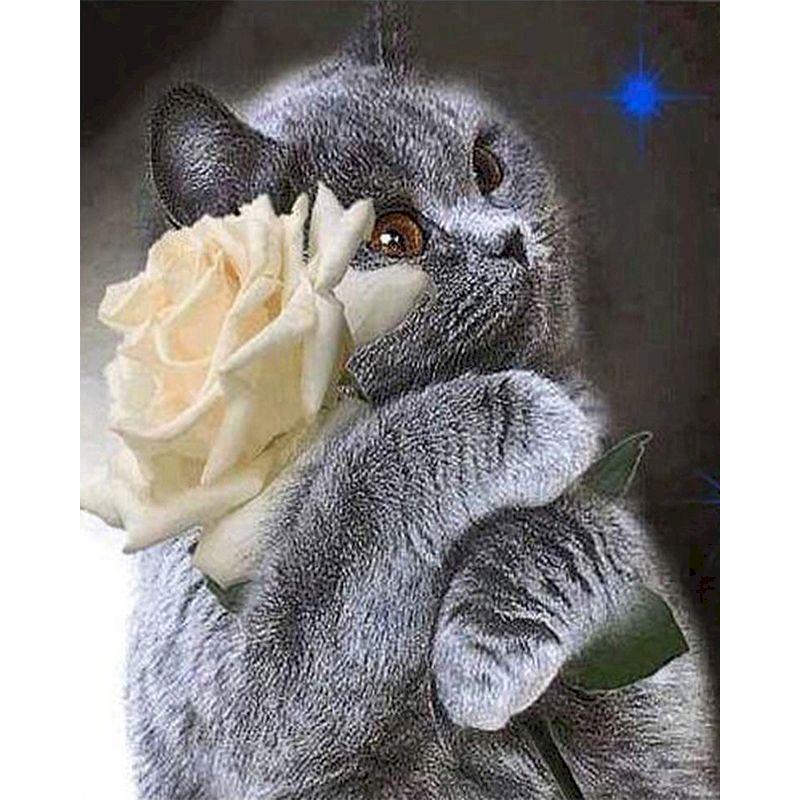 Я так тебя при таком. Открытка люблю тебя. Мне тебя не хватает стихи. Я так тебя при таком. Люблю тебя так сильно.