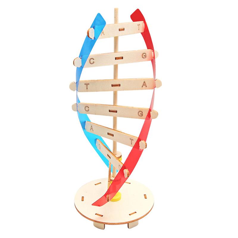 3D Wooden Puzzle DIY Physical Model Science Experiment Educational Toy Password Box Grain Fan Assembly Model DIY Decoration Gift