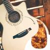 Dreld Guitar Pickguard Scratch Sticker Board with Adhesive Backing, Turtle Shell Guard, Rounded Corners, Protective Plate, Universal for Acoustic, Fol