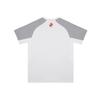 Li Ning T Shirt Unisex Light Gray ATSV929-2