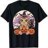 American Shorthair Cat with Pumpkin Halloween_1 T-Shirt, Tank Top, Sweatshirt, Hoodie, Long Sleeve, for Men Women Black