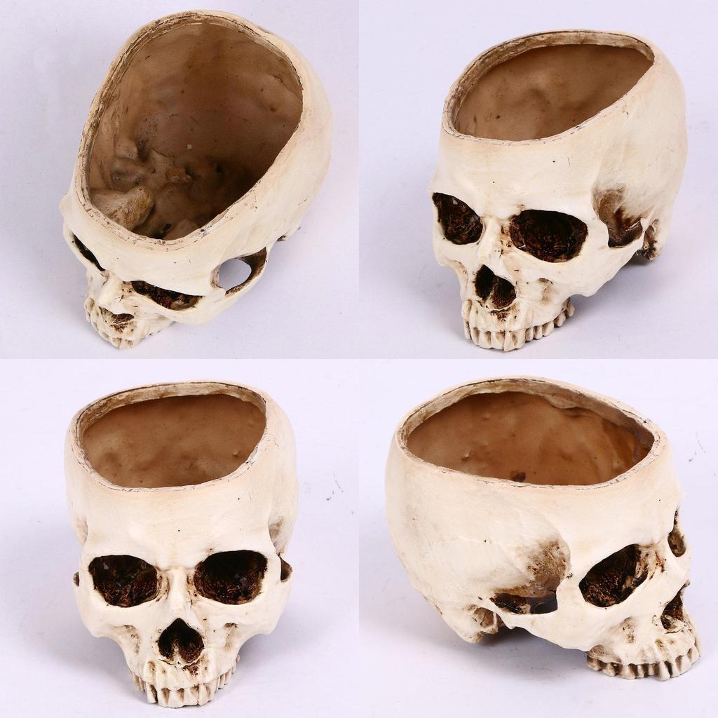 Premium Resin Human Skull Head Design Flower Pot Planter For Unique Home Decor