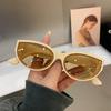 Cat Eye New Oval Sunglasses Personalized Vintage Fashion Trendy Female Shades Popular Brand Designer Eyewear For Ladies
