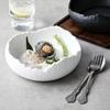 Matte Finish Dessert Bowl Irregular Shape Open Dessert Plates Creative Snack Dish  Collection