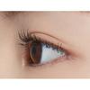 ETUDE New Dr. Mascara Fixer 6g Black, Korean