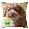 Personalized Pet Pillow Custom Dog Photo with Name Square Cushion Gift for Dog Owner Home Decor for Living Room Gift for Family
