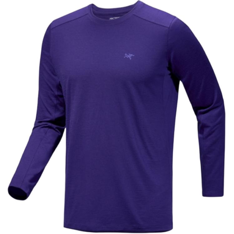 Arc'teryx Ionia tričko z merino vlny Pánské X000007732