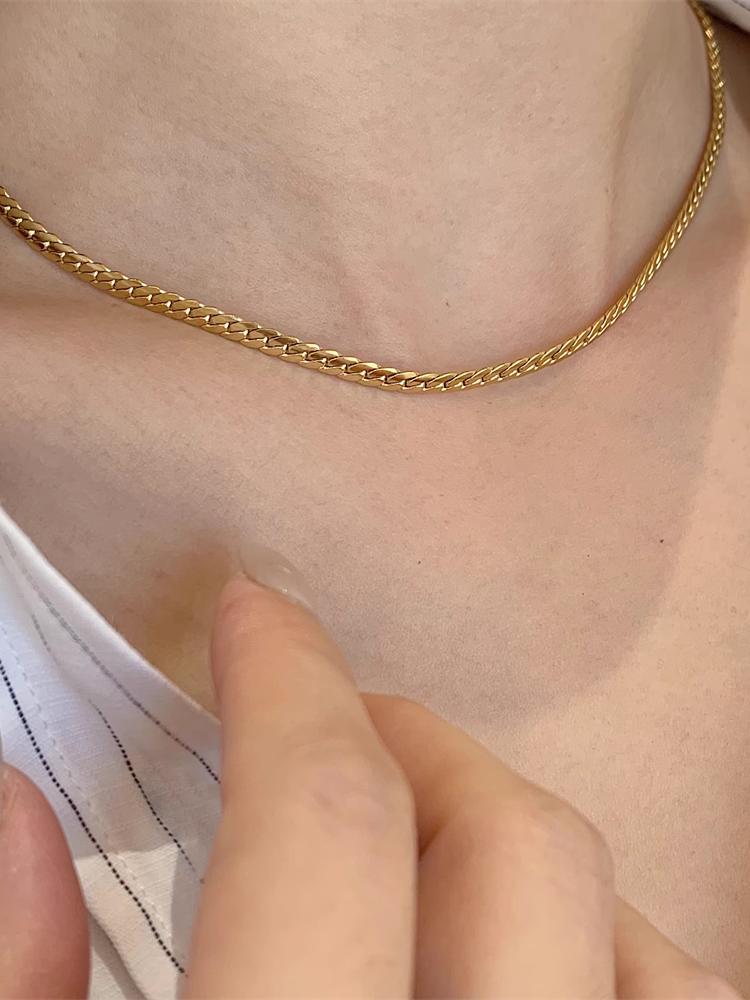 Titanium Steel 18K Gold Minimalist Elegant Horsewhip Clavicle Chain Japanese and Korean Short Necklace Necklace Female Niche Style Snake Bones Chain