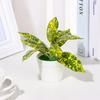 Artificial Potted Plants Small Simulated Green Plants for Home Decor, Office Desk, Indoor Landscape, Creative Fake Leaf Decor