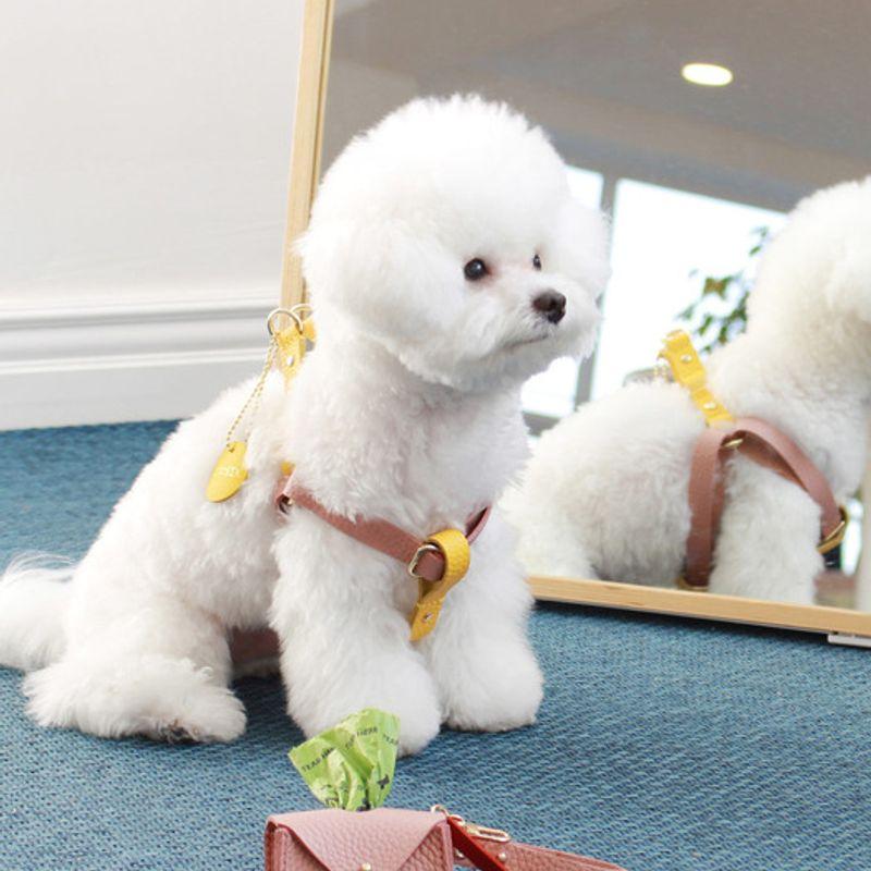 MAISON DE MIU Running Mate Harness_Rose Pink/Yellow