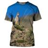 Camiseta Camuflaje Animal Caza Infantil Verano Niños Cuello Redondo Camisetas Moda Tops Camisetas Camiseta Infantil Exterior