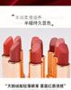Gogo Gt77 Velvet Nourishing Long-Lasting Lipstick