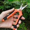 Stainless Steel Grape & Fruit Picking Pruning Shears: Garden Thinning & Vegetable Scissors