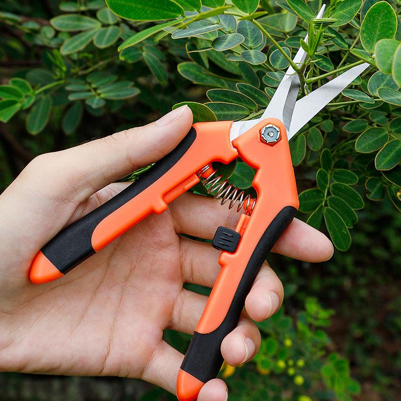 Stainless Steel Grape & Fruit Picking Pruning Shears: Garden Thinning & Vegetable Scissors