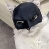 Cat Bat Masque Funny Cat Bat Superhero Cosplay Hat Pet Dress-up Apparel for Halloween Birthday Party Costume Accessories