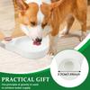 No Electricity Required, Automatic Water Supply For Cats, Small Dogs, Rabbits, Birds, Pet Water