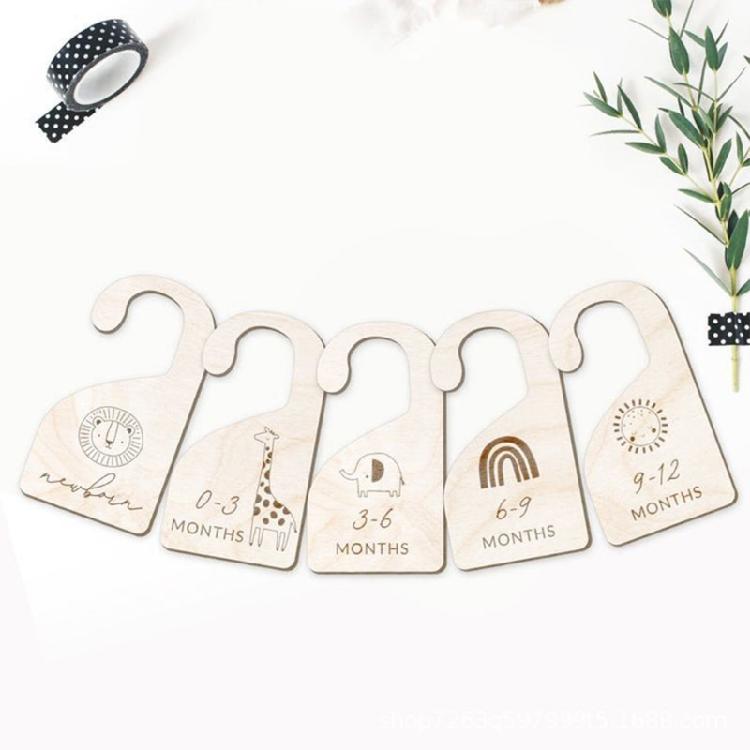 Cute Baby Closet Dividers By Month Nursery Closet Organizer Kids 0-12 Months
