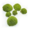Green Natural Cushion Mech - 0.1M² (40X25Cm) - France