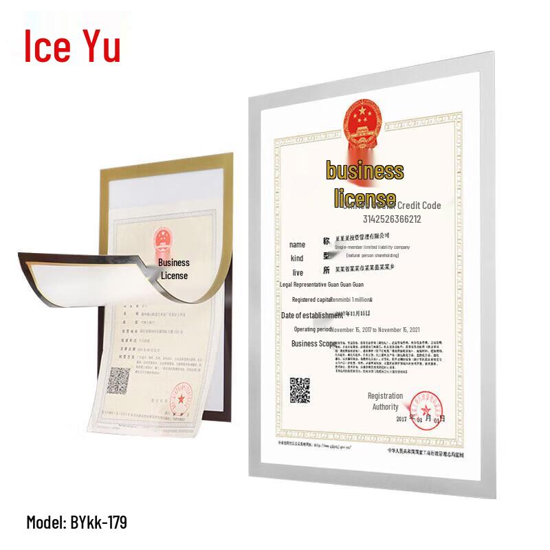 Magnetic Adhesive Document Display Frame