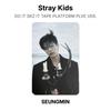 Stray Kids DO IT SKZ IT TAPE PLATFORM PLVE VER. Official Photocard