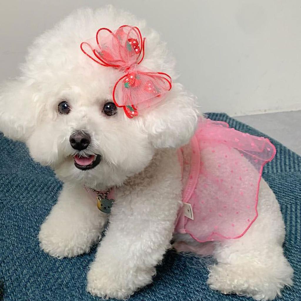 Puppy Summer Clothes Thin Dog Dress for Small Dog Clothes for Pets Clothing Summer Cooling Cat Clothes Cute Girl Mesh Dress Dogs