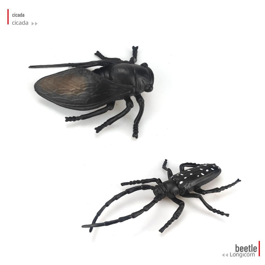 Children's Cognitive Teaching Toys: Insect Models - Butterfly, Ladybug, Rhinoceros Beetle, Bee, Grasshopper