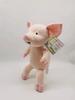 Anime If You Give A Mouse A Cookie Plush Toys Cartoon Pig Mouse Educational Stuffed Doll Plushie Animals Birthday Christmas Gift