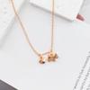 AG French Zircon & Diamond Heart Necklace - Mother-of-Pearl and Agate, Luxury Dog Design Clavicle Chain.