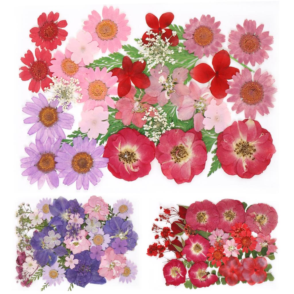 104/96/94Pcs Pressed Dried Flowers Set Real Natural Pressing Floral Leaves DIY Multipurpose Real Pressed Flowers Dry Leaves Kit