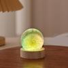 Dandelion Crystal Ball Night Light with Preserved Flower 3D Carving Luminous Resin Ornament.