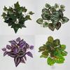 Ipomoea Batatas Fake Plant Wall Decor With Realistic Leaf Bundles For Indoor Decoration