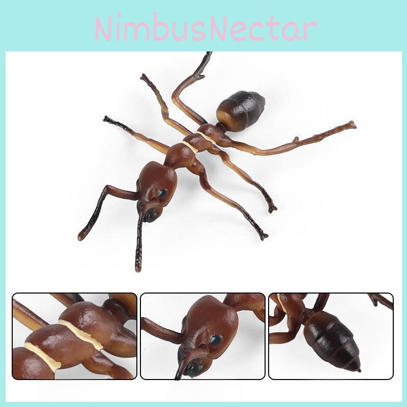 Realistic Animal Model Collection With Plastic Insect Figures For Kids Educational And Scene Display