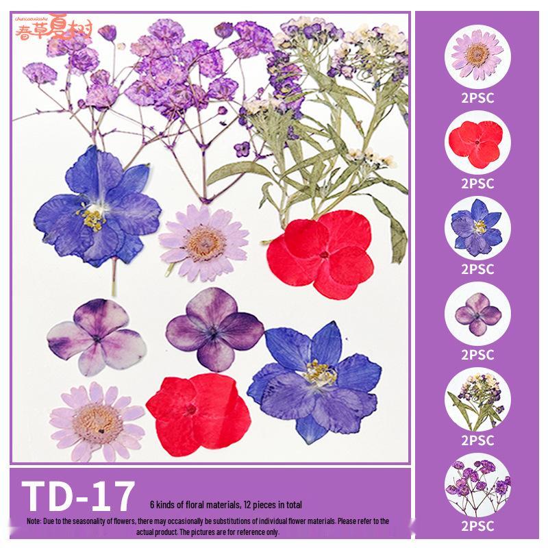 Handmade Pressed Flower Bookmark and Epoxy Sticker Pack with Real Leaf and Plant Specimens for DIY Face Makeup.