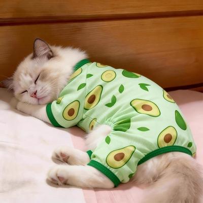 Katte – Tøj til katte