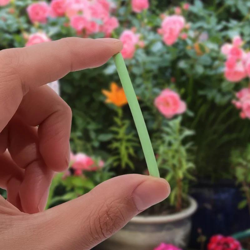 30 Stück Pflanzen Langzeit-Düngestäbchen Nährstoffstäbchen Universell Innen-Blumentopf Pflanzen Düngestäbe Verbesserer Garten Zubehör