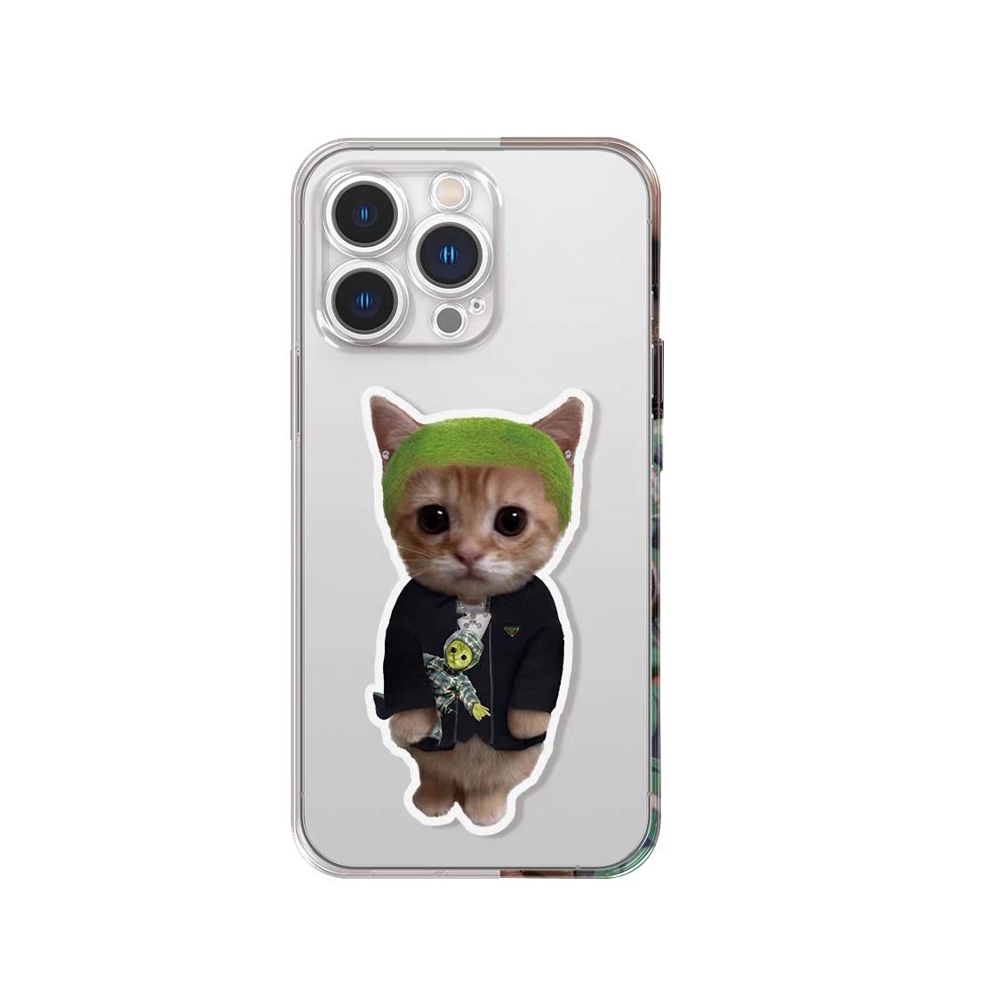 

Hip-Hop Singer Super Star Cat Clear Phone Case For iPhone 15 17 16 14 13 12 11 Pro Max Plus Mini X XR SE Air 16e Covers Fundas iPhone 13