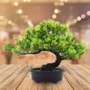 Artificial Bonsai Tree Japanese Pine Bonsai Indoor Fake Plants Bonsai Tree for Desk Living Room Office Bathroom Bookshelf