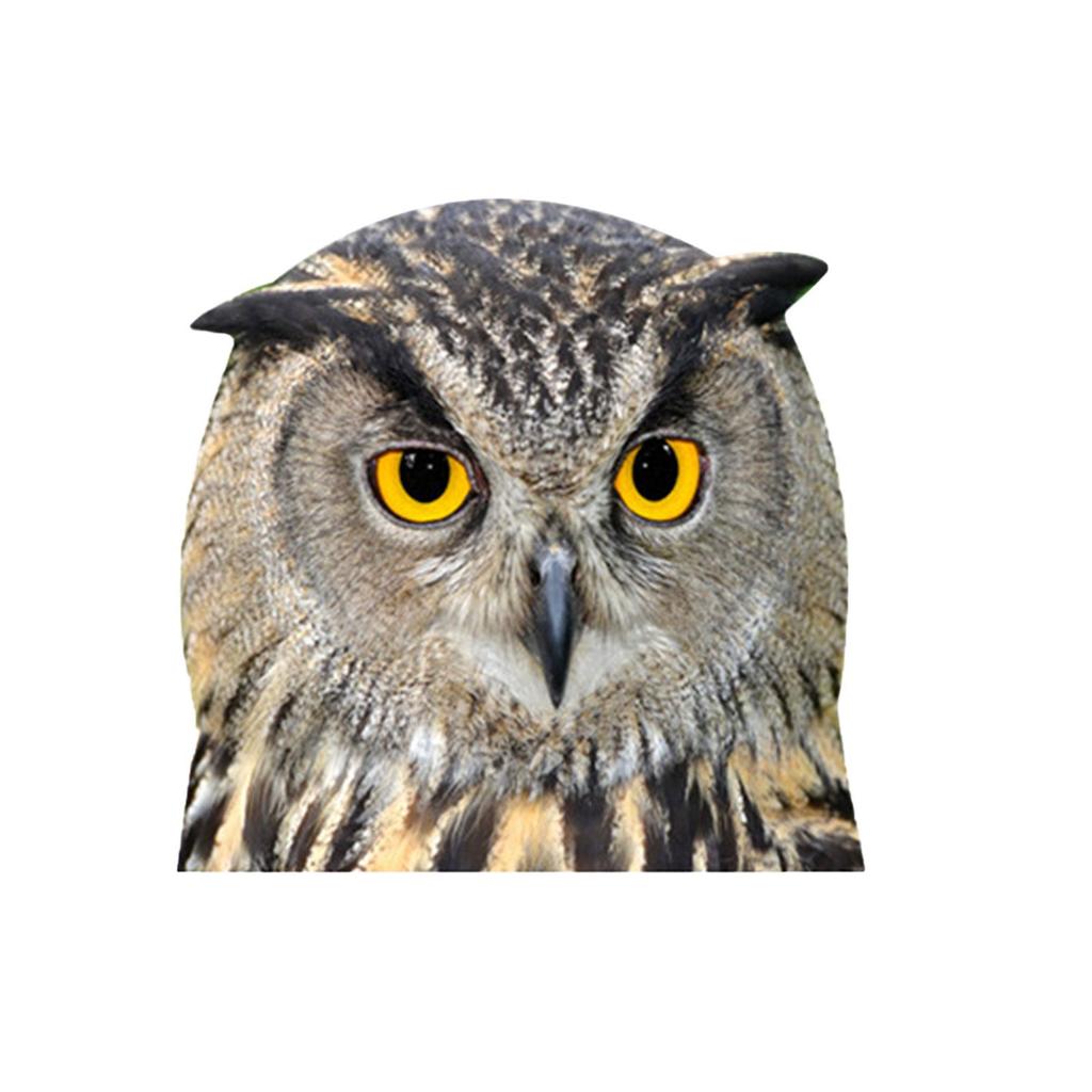 Car Window Glass Stickers Animal Series Vehicle Decal