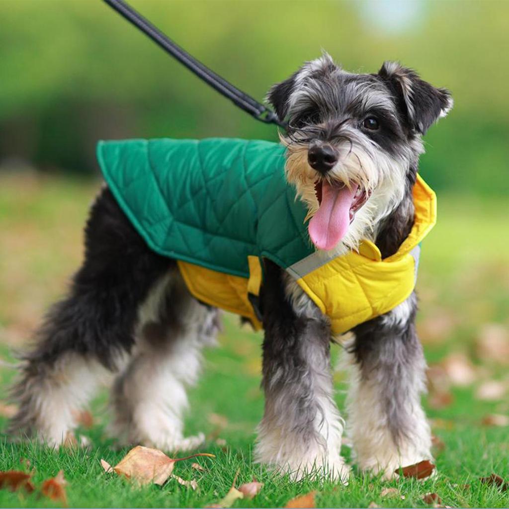 Cozy Jacket for Stylish Pets