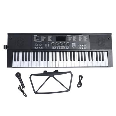 61 Keys Piano Electronic Keyboard with Lighted Keys LED Screen Dual Speakers Microphone Music Stand